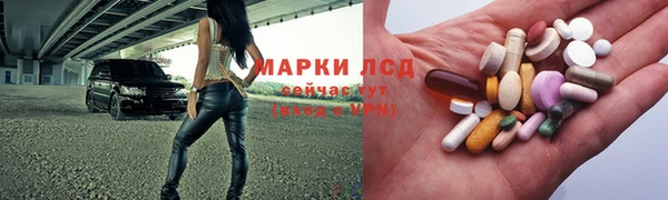 ПСИЛОЦИБИНОВЫЕ ГРИБЫ Вязьма