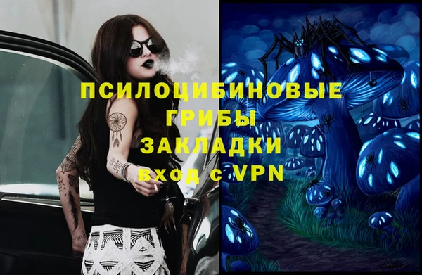 ПСИЛОЦИБИНОВЫЕ ГРИБЫ Вязьма