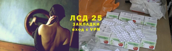 ПСИЛОЦИБИНОВЫЕ ГРИБЫ Вязьма